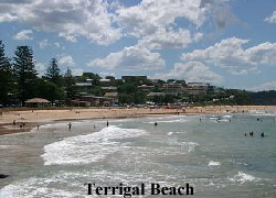 Terrigal Beach